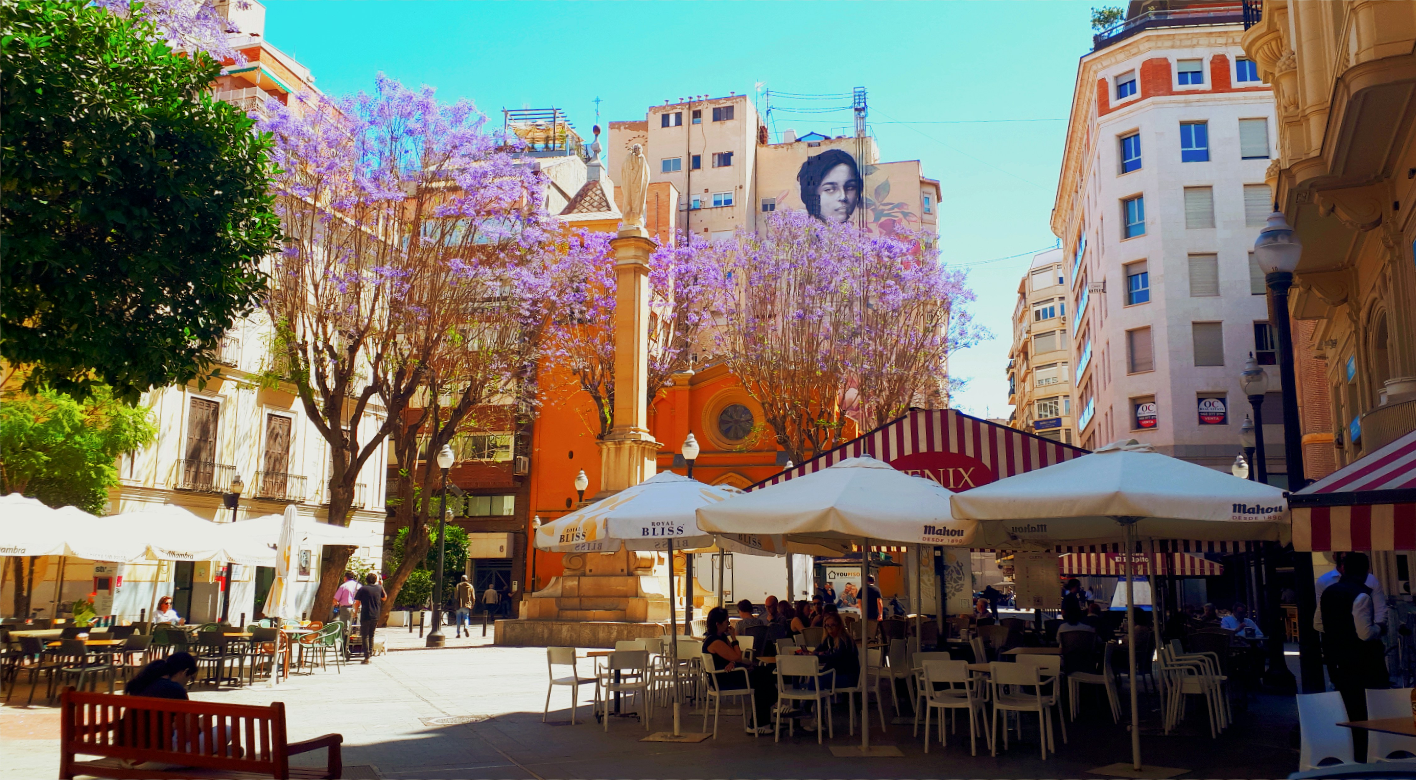 Sunny plaza in Murcia with caf&eacute; terraces, jacaranda trees and shaded tables, ideal for a slow food-led city break.